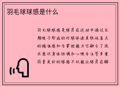 羽毛球球感是什么